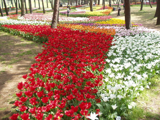 img0011.jpg
