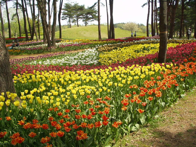 img0015.jpg