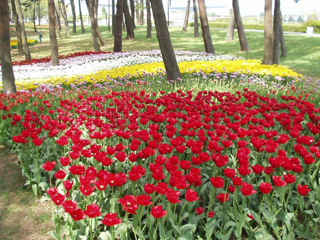 img0016.jpg