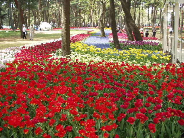img0017.jpg