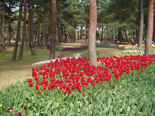 img0019.jpg
