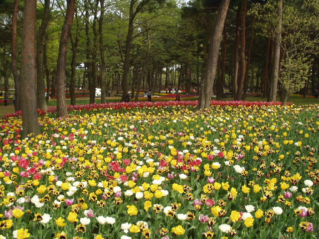 img0020.jpg