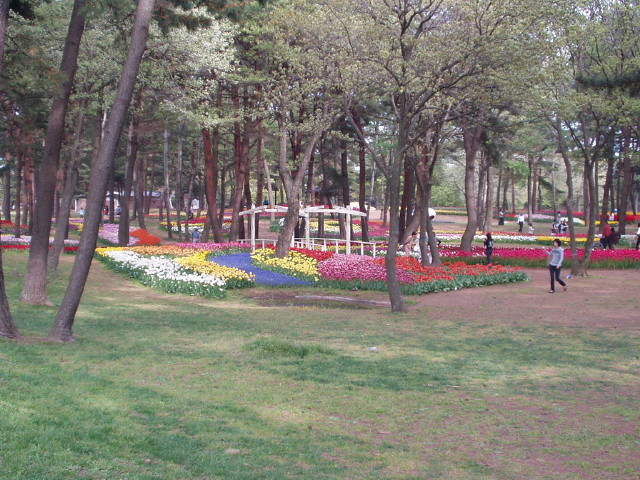 img0021.jpg