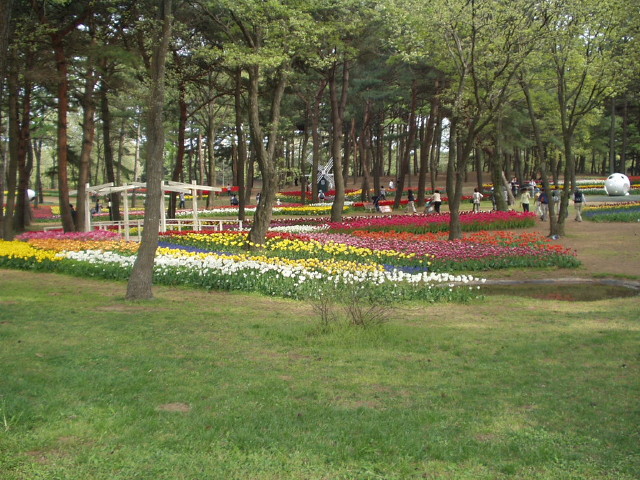 img0022.jpg