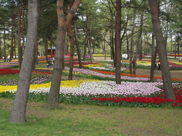 img0023.jpg