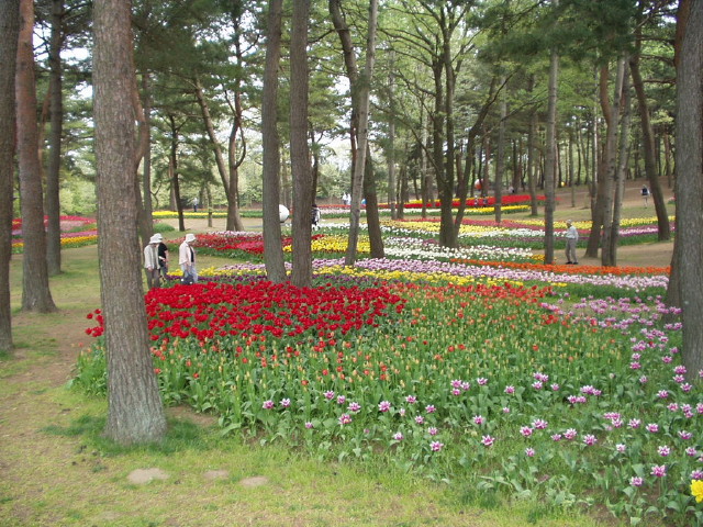img0025.jpg