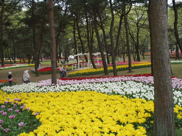 img0026.jpg