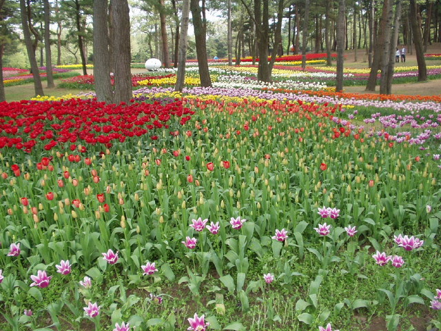 img0027.jpg
