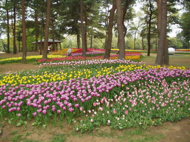 img0028.jpg