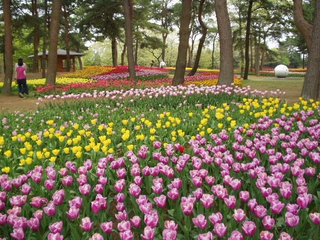 img0029.jpg