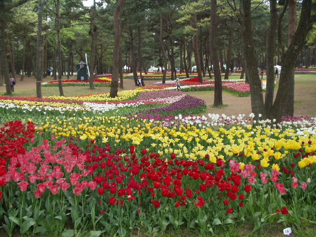 img0030.jpg