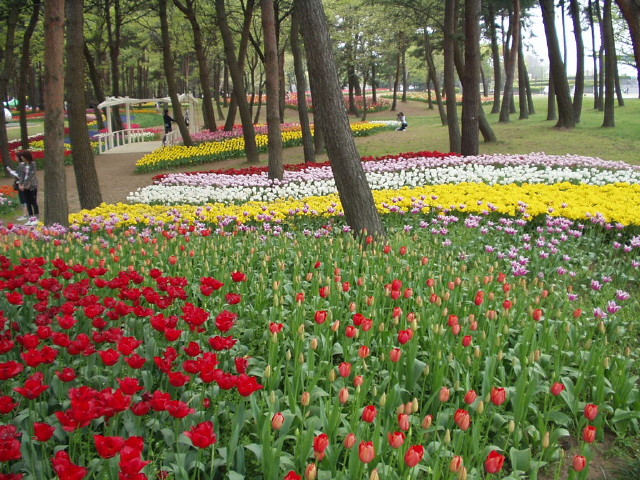 img0032.jpg