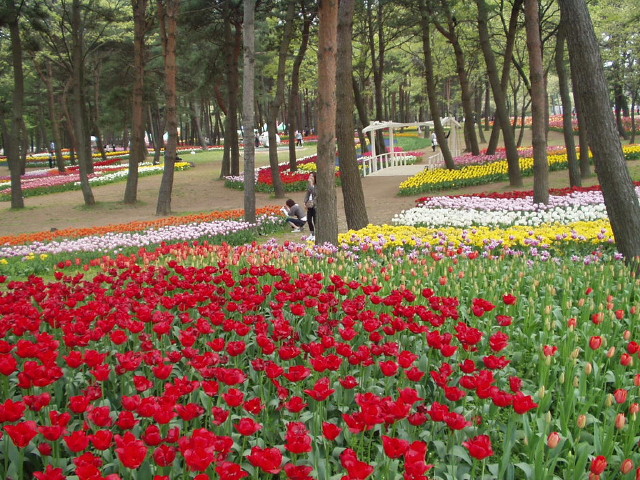 img0033.jpg