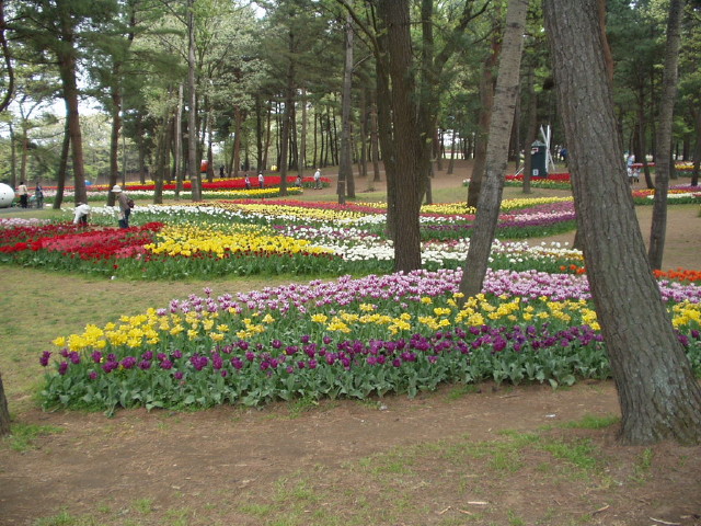 img0034.jpg