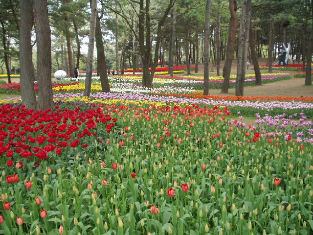 img0035.jpg
