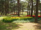 img0002.jpg