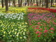 img0003.jpg