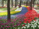 img0006.jpg