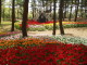 img0009.jpg
