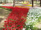 img0011.jpg