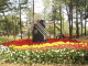 img0012.jpg