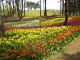 img0015.jpg