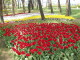 img0016.jpg