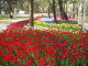 img0017.jpg