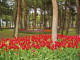 img0018.jpg