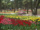img0030.jpg