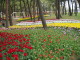 img0032.jpg