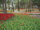 img0035.jpg
