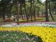 img0036.jpg