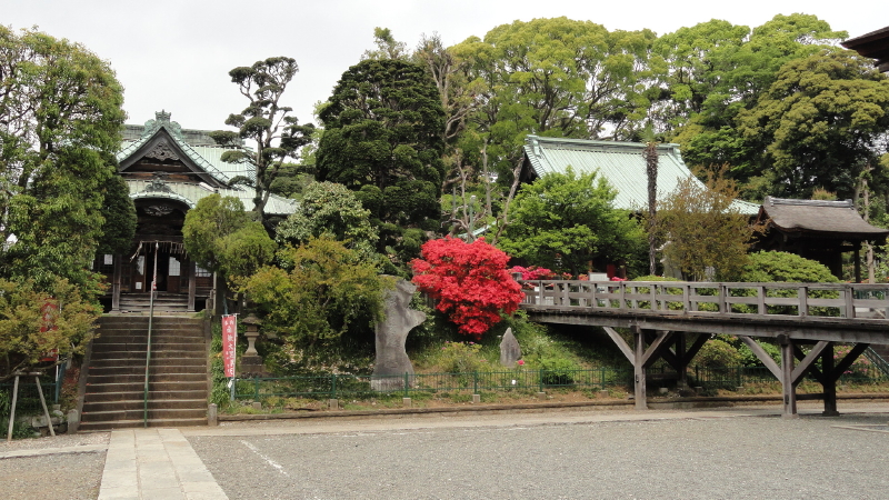 img0004.jpg