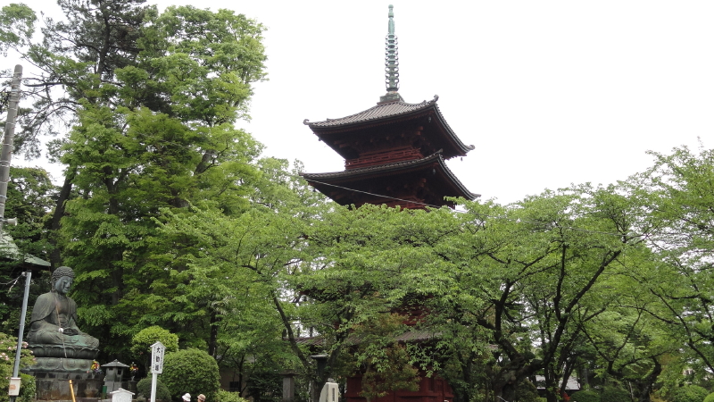 img0011.jpg