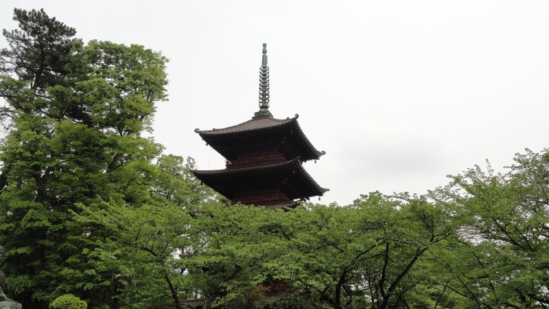 img0012.jpg