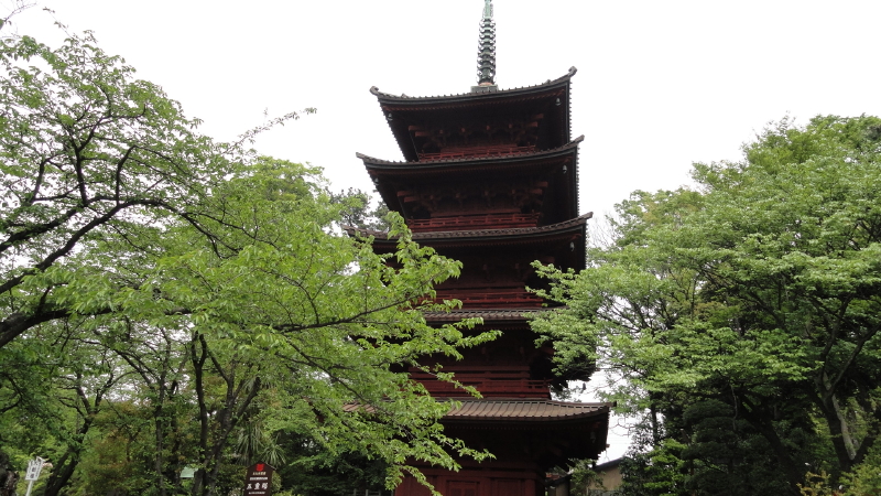 img0013.jpg