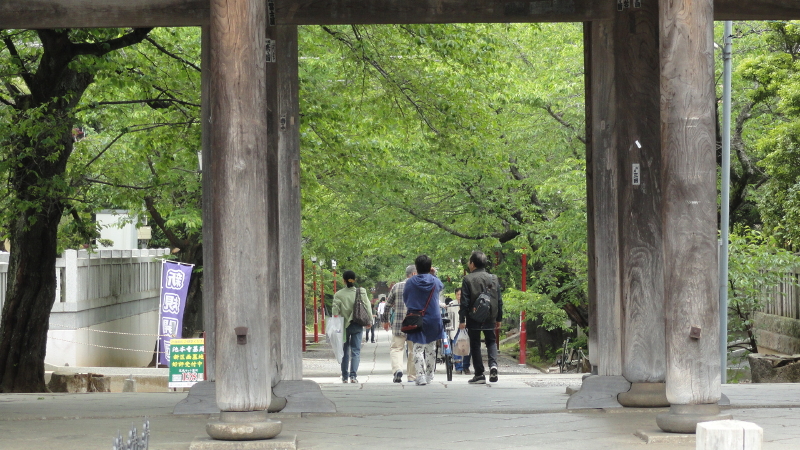 img0019.jpg