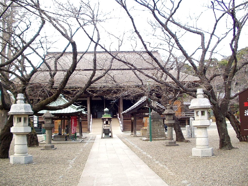 img0028.jpg