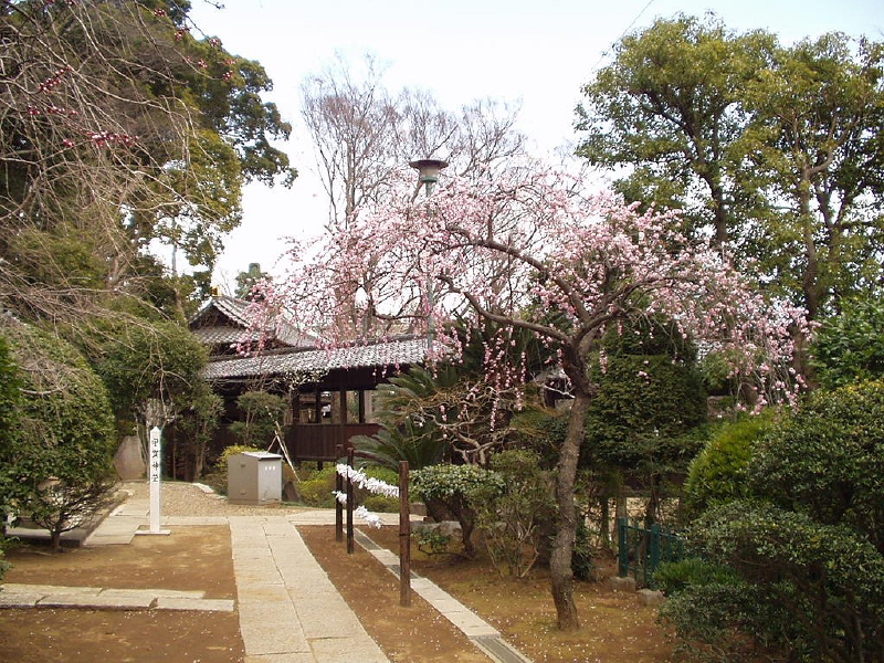 img0033.jpg