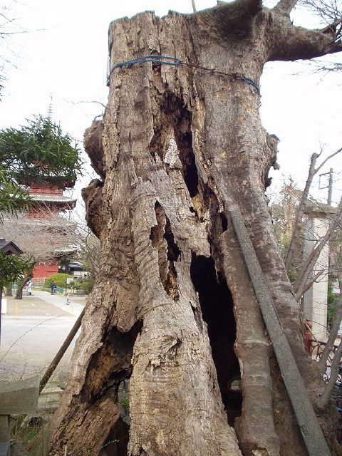 img0046.jpg