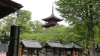 img0008.jpg