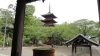 img0010.jpg