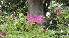 img0016.jpg