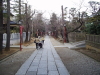 img0025.jpg