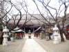 img0028.jpg
