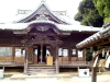 img0037.jpg