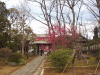 img0039.jpg