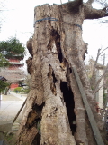 img0046.jpg