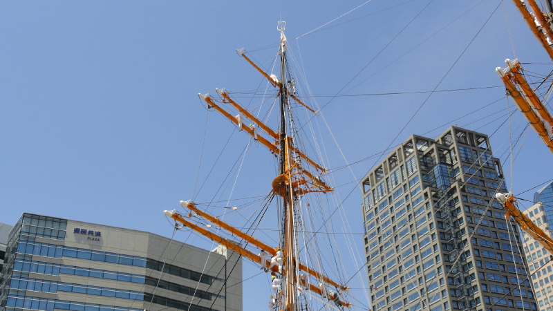 img0005.jpg